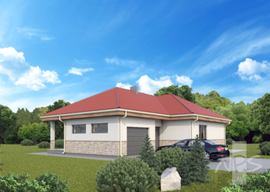 One storey house projects Laimonas | NPS Projects